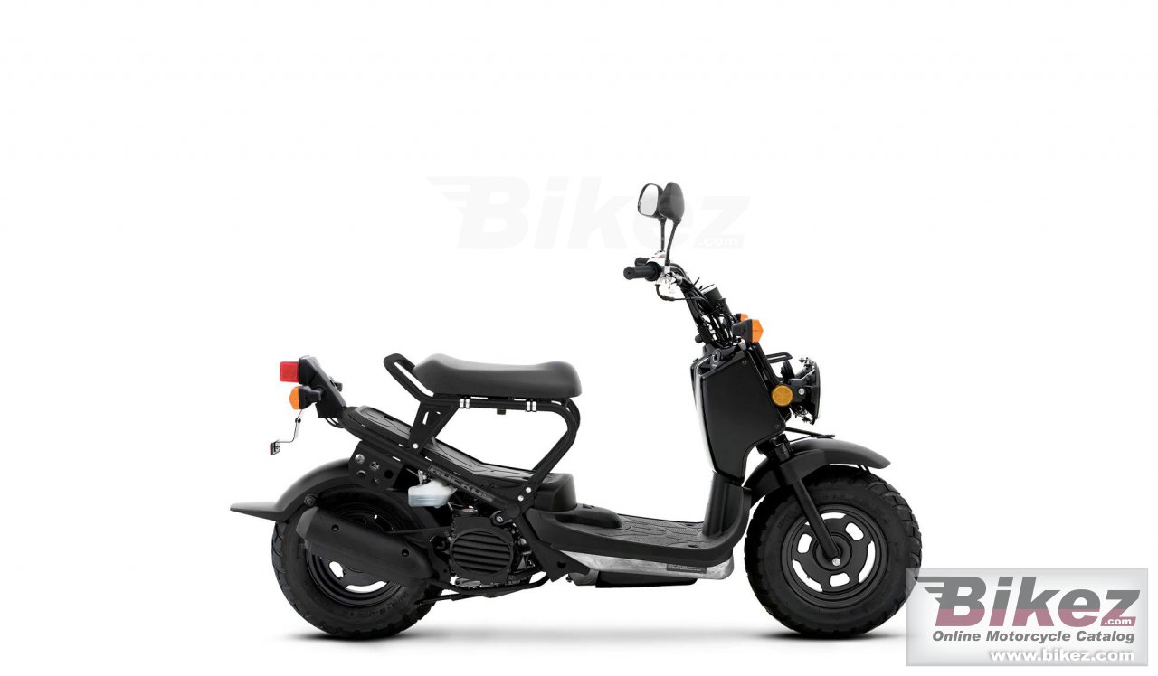 Thumbnail for Honda Ruckus 2024