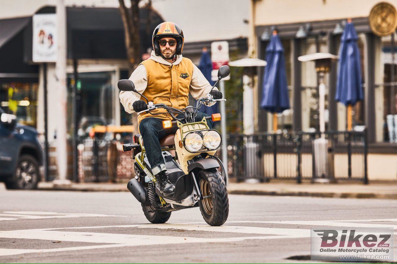Thumbnail for Honda Ruckus 2025