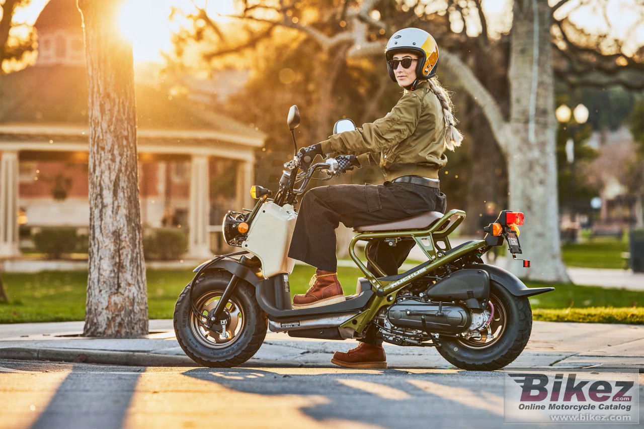 Thumbnail for Honda Ruckus 2025