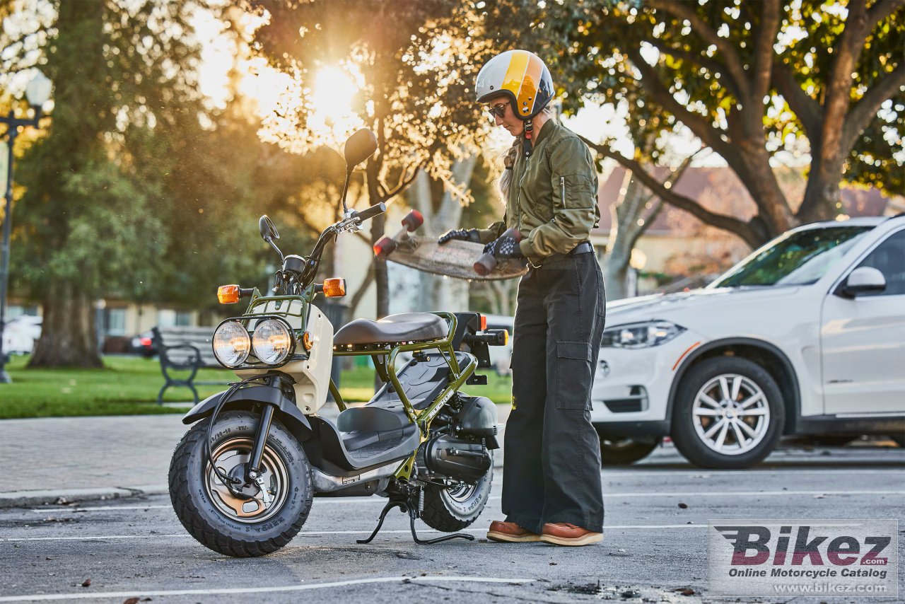 Thumbnail for Honda Ruckus 2025