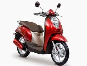 Thumbnail for Honda Scoopy 2014