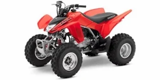 Thumbnail for Honda TRX250X 2009