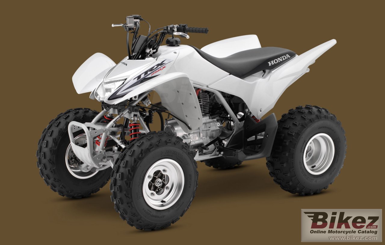 Thumbnail for Honda TRX250X 2010