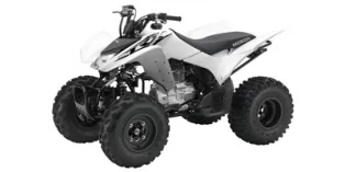 Thumbnail for Honda TRX250X 2016