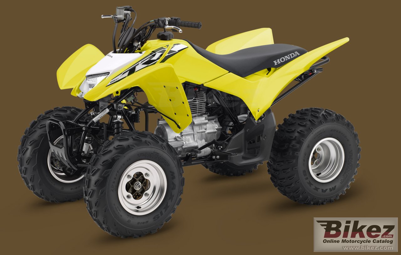 Honda TRX250X