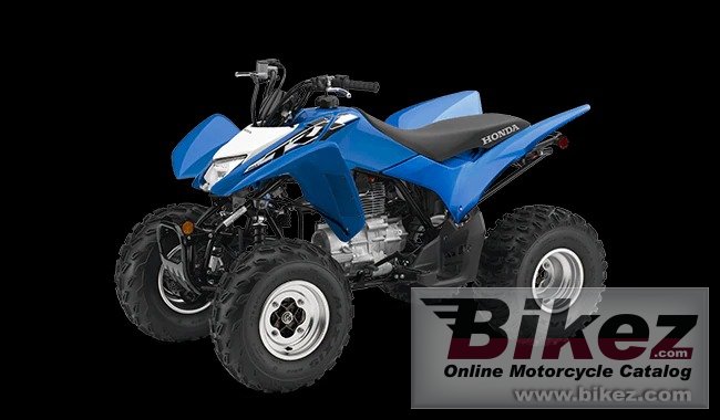 Honda TRX250X