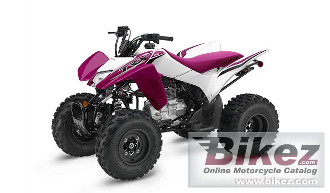 Thumbnail for Honda TRX250X 2023