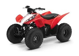 Thumbnail for Honda TRX90X 2018