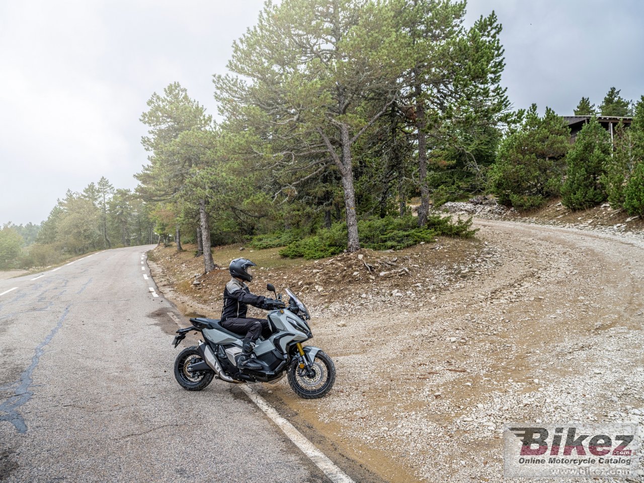 Thumbnail for Honda X-Adv 2021