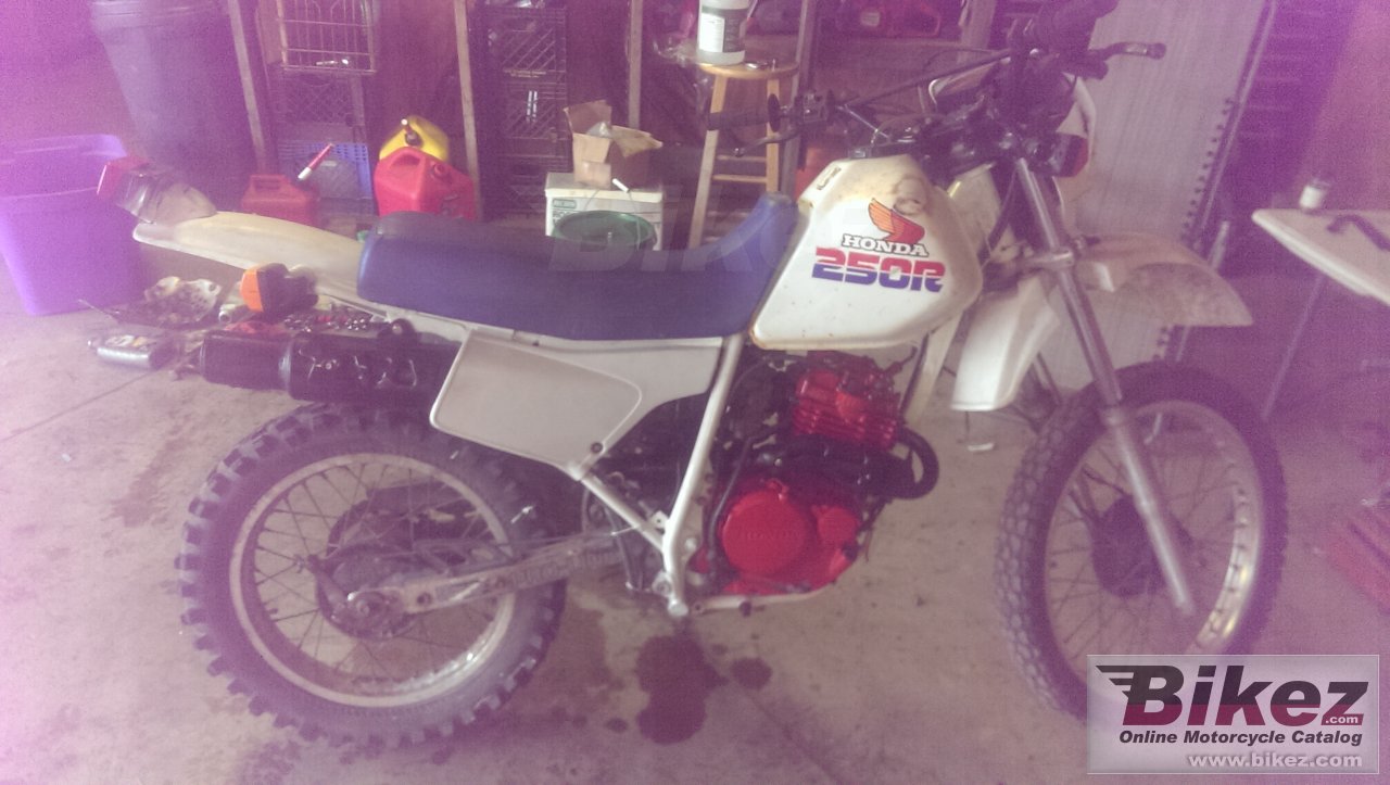 Thumbnail for Honda XL 250 R 1986