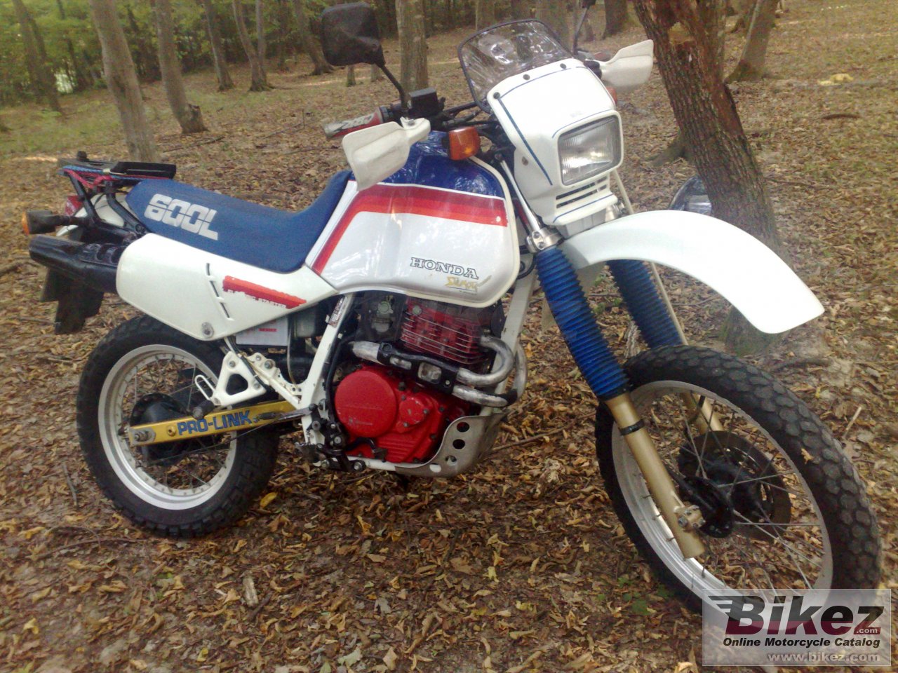 Honda XL 600 LM