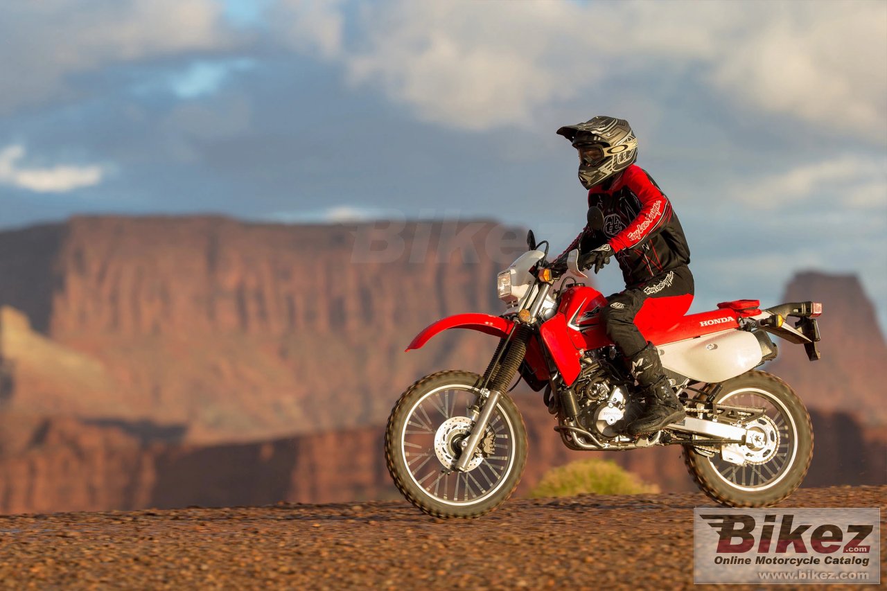 Thumbnail for Honda XR650L 2021
