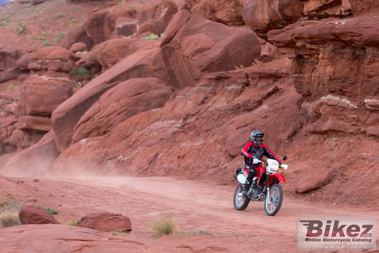 Thumbnail for Honda XR650L 2021