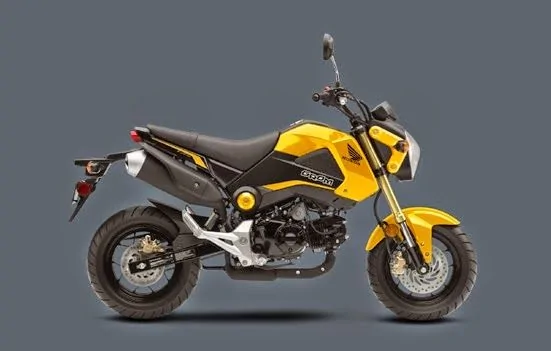 Honda XRM125 DSX