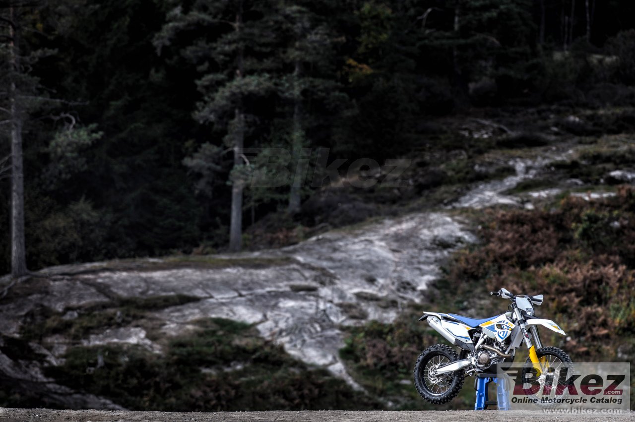 Thumbnail for Husqvarna FE450 2014