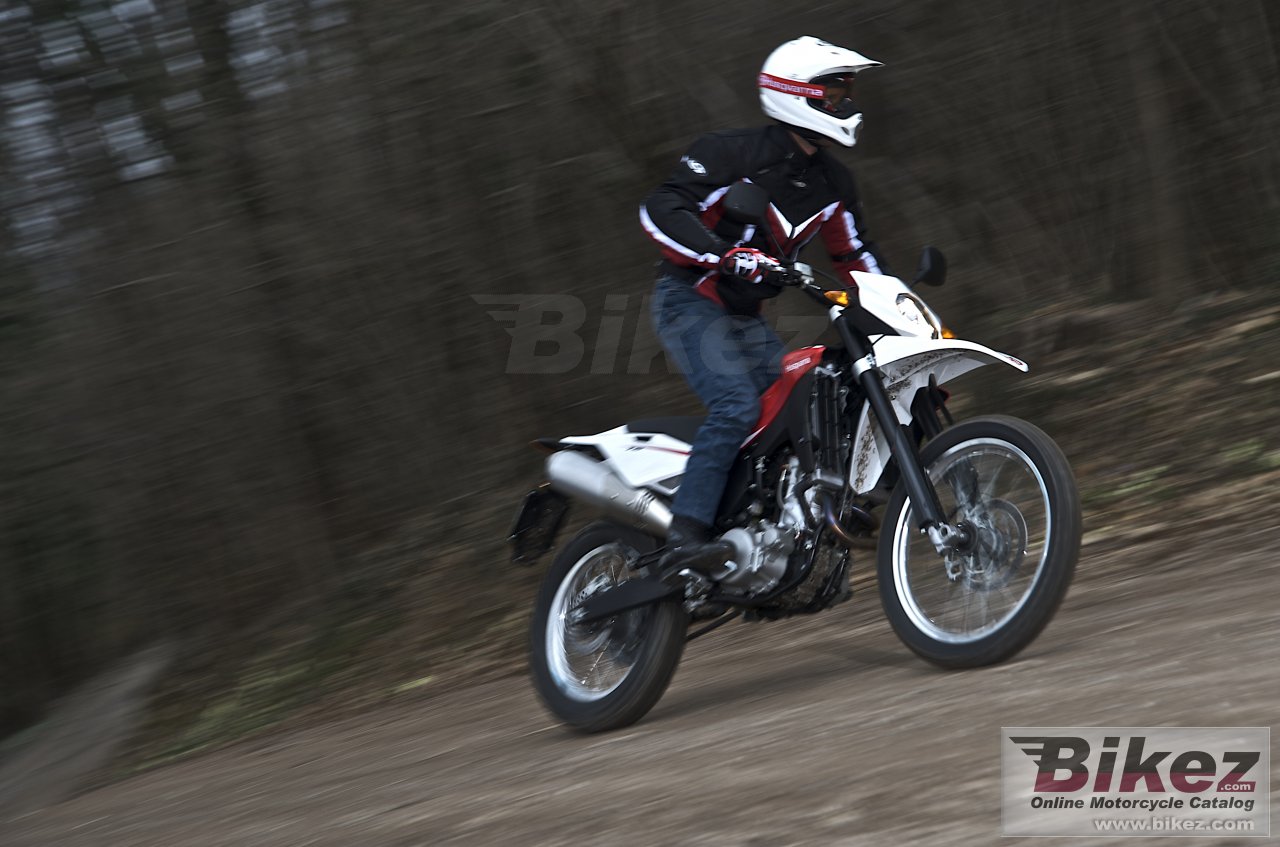 Thumbnail for Husqvarna TE630 2011