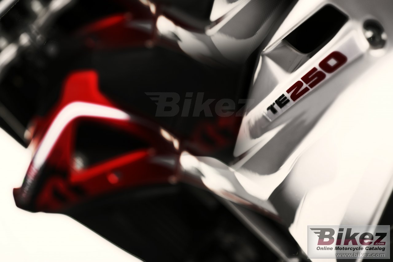 Thumbnail for Husqvarna TE 250 2010