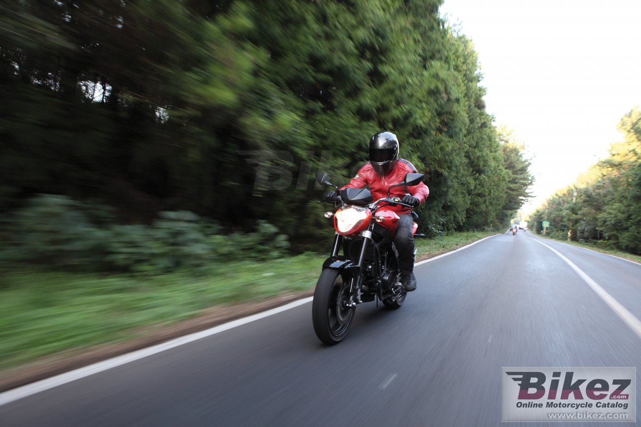 Thumbnail for Hyosung GT250P 2016
