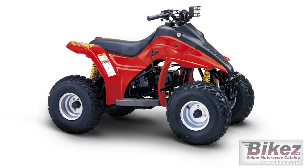Hyosung TE 100R