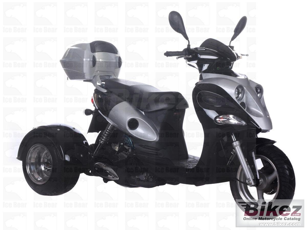 Ice Bear Ace 50 Trike