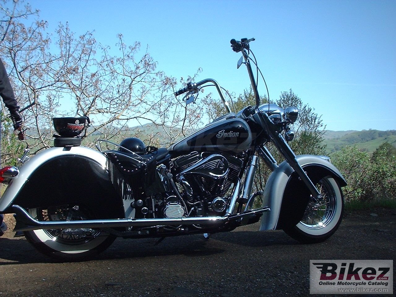 Indian Chief