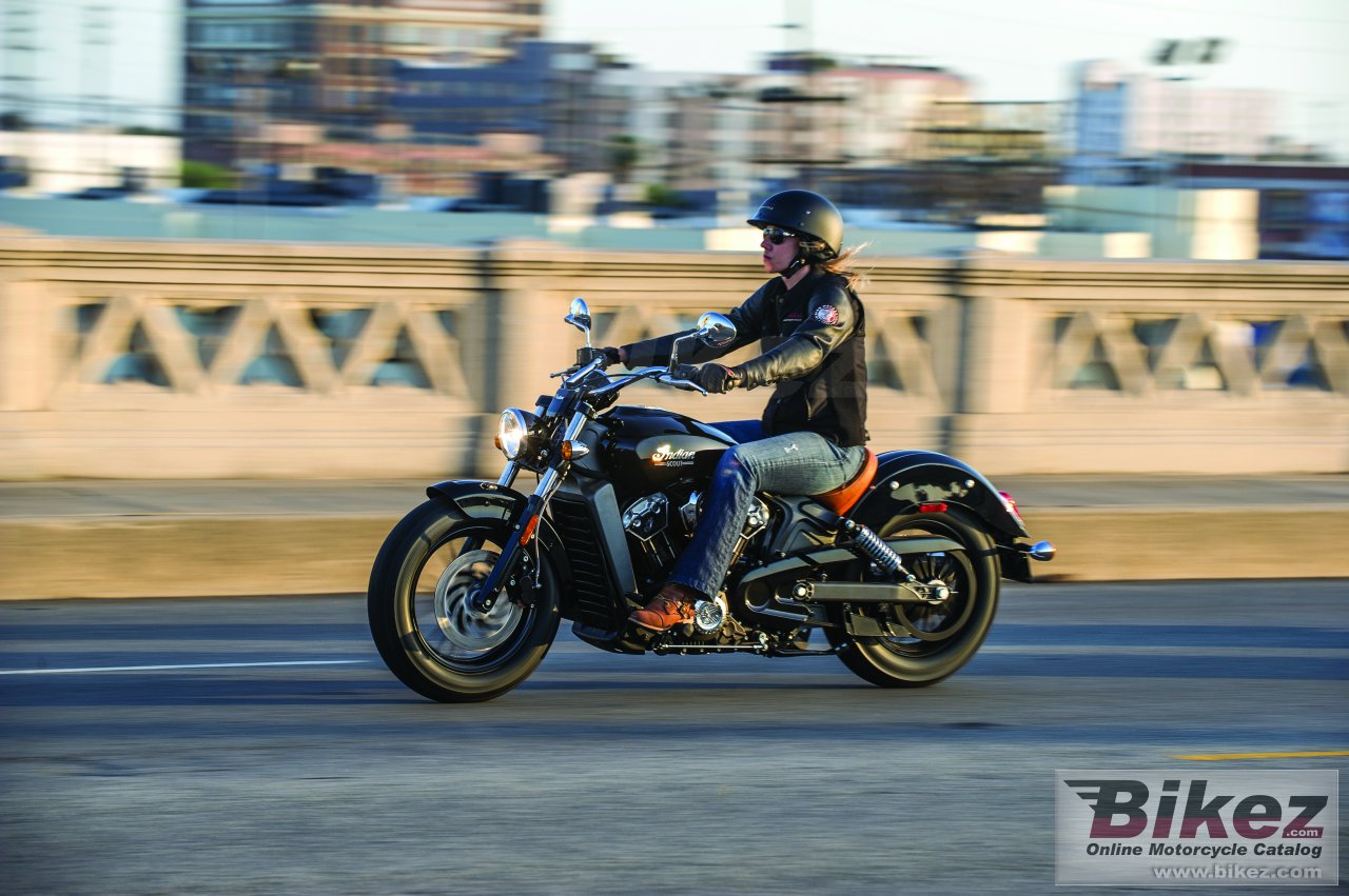Thumbnail for Indian Scout 2015