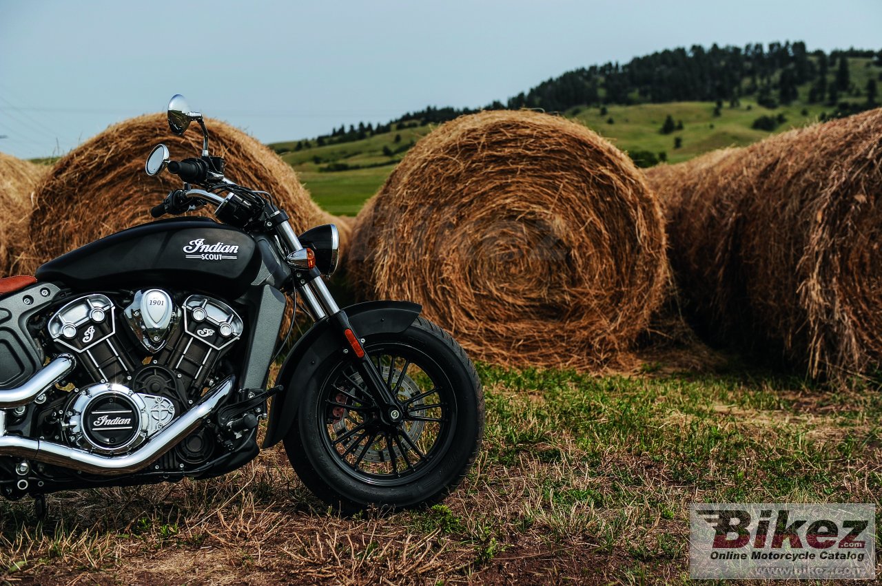 Thumbnail for Indian Scout 2015