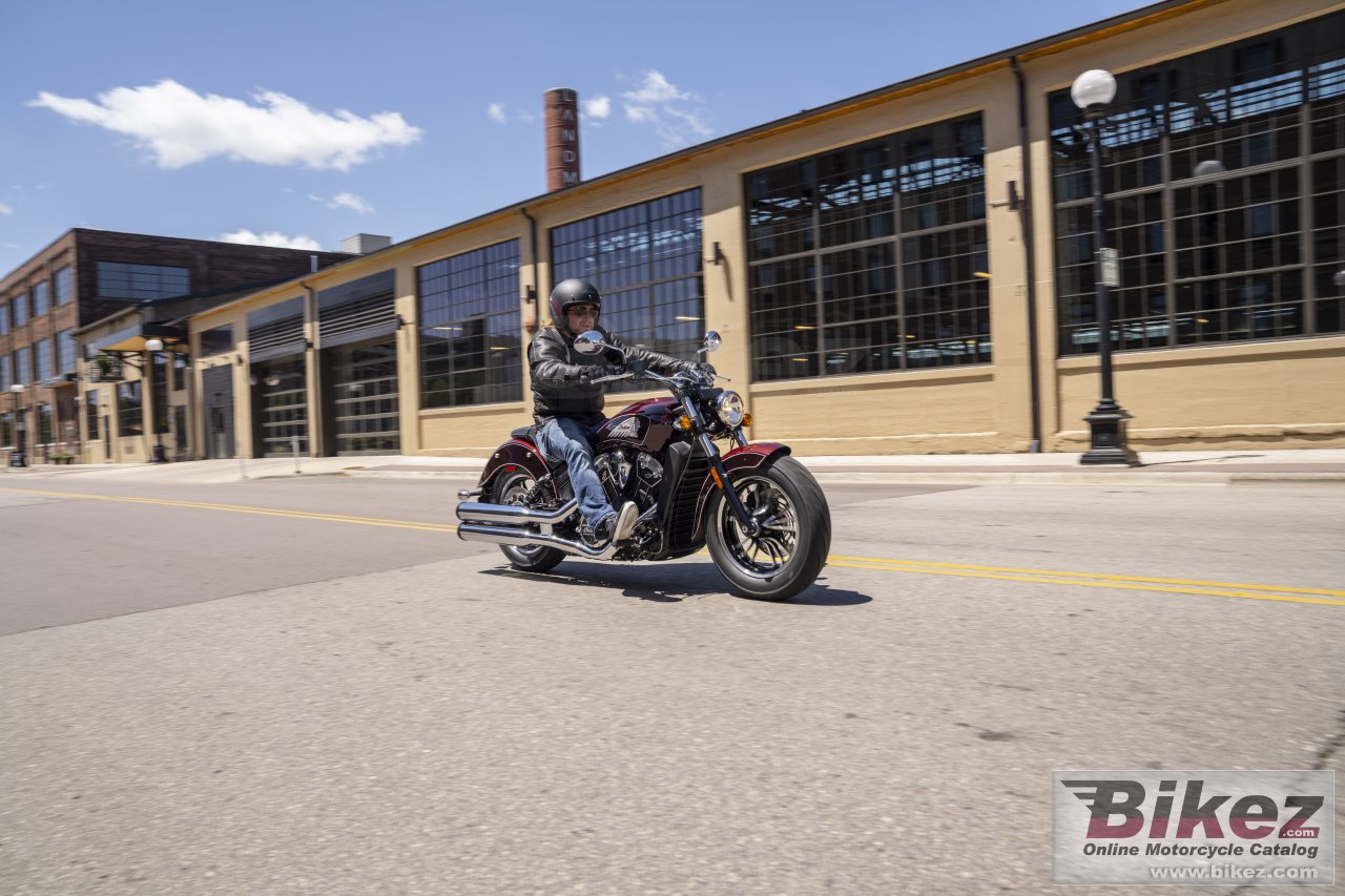 Thumbnail for Indian Scout 2021