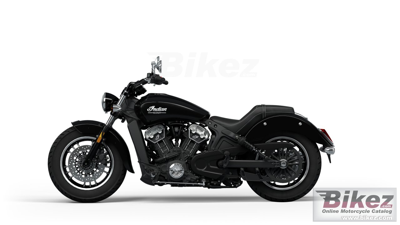 Thumbnail for Indian Scout 2024