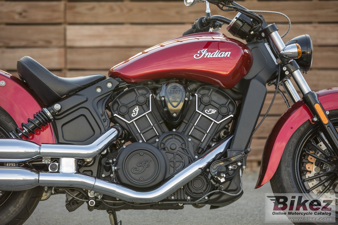 Thumbnail for Indian Scout Sixty 2021