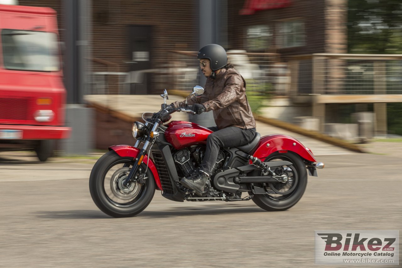 Thumbnail for Indian Scout Sixty 2021