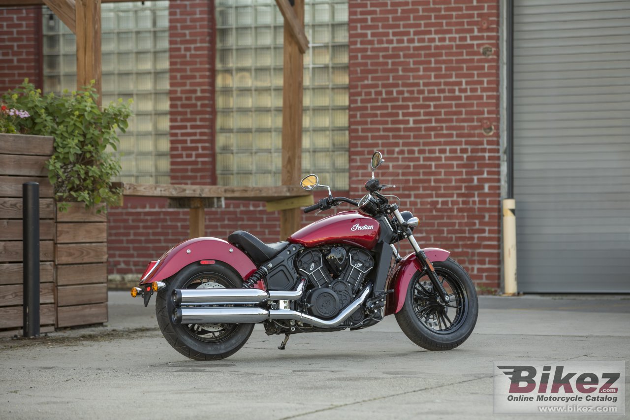 Thumbnail for Indian Scout Sixty 2022