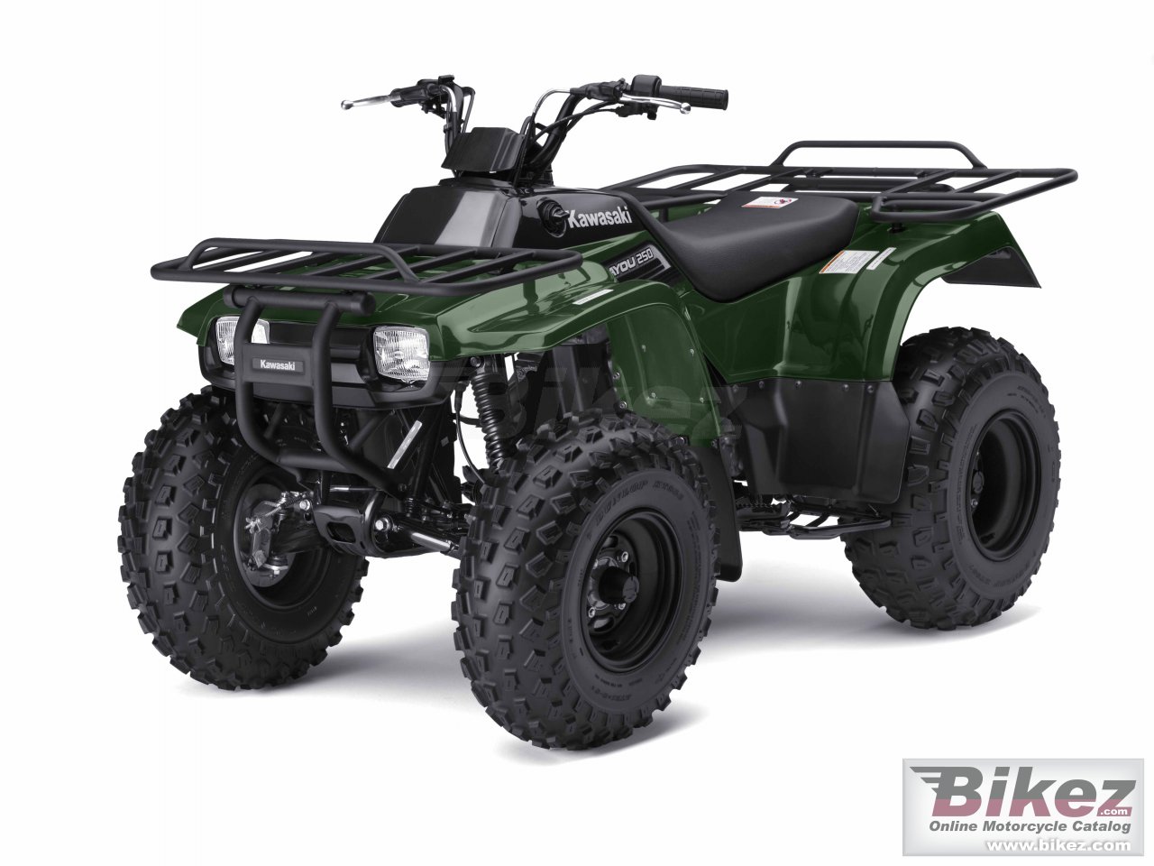 Kawasaki Bayou 250