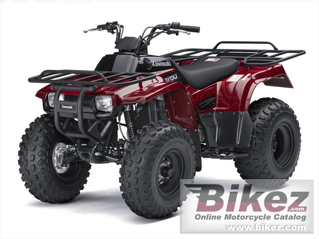 Kawasaki Bayou 250
