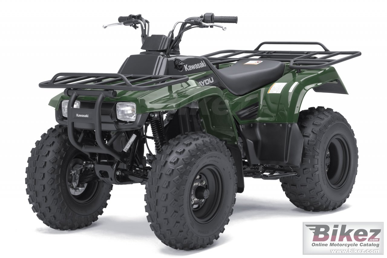 Kawasaki Bayou 250