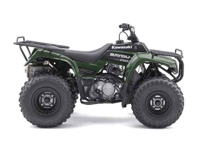 Thumbnail for Kawasaki Bayou 250 2011