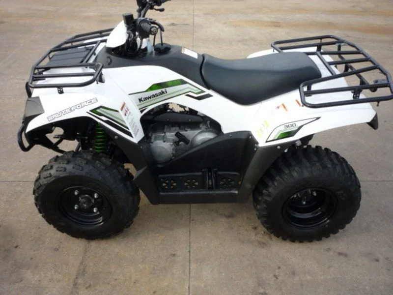 Thumbnail for Kawasaki Brute Force 300 2015