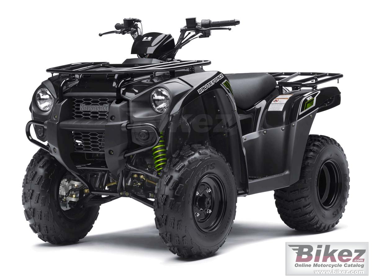 Kawasaki Brute Force 300