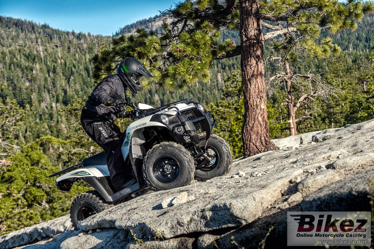 Thumbnail for Kawasaki Brute Force 300 2018