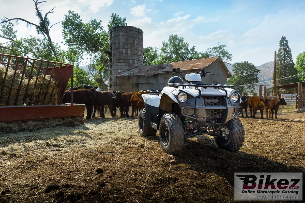 Thumbnail for Kawasaki Brute Force 300 2018