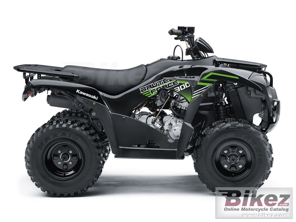 Thumbnail for Kawasaki Brute Force 300 2020