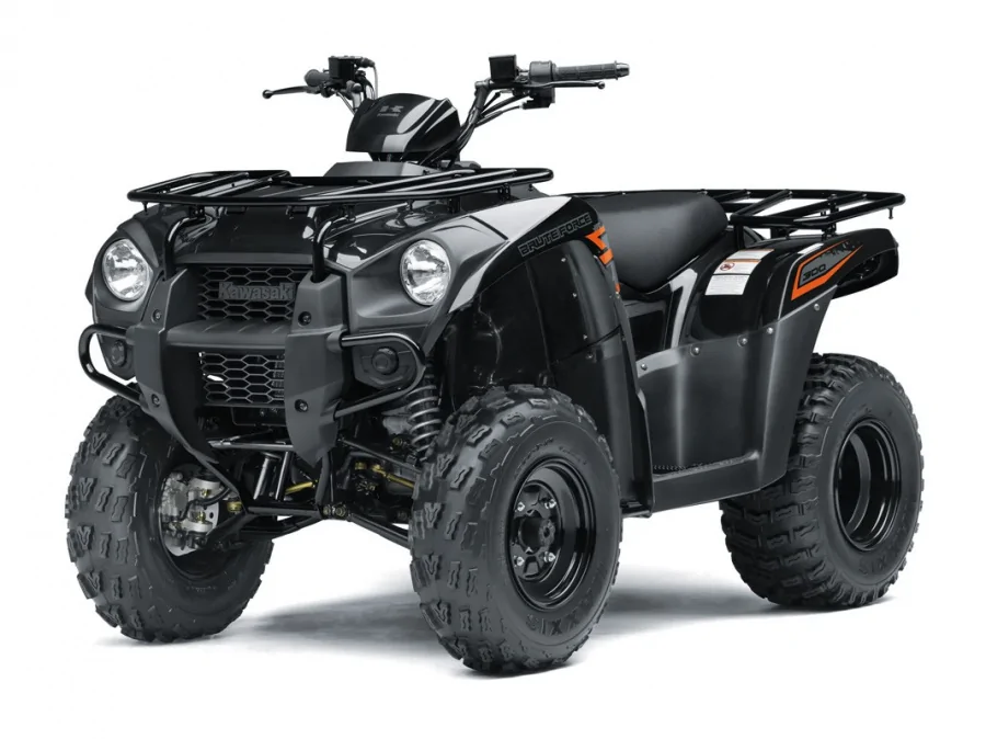 Thumbnail for Kawasaki Brute Force 300 2020