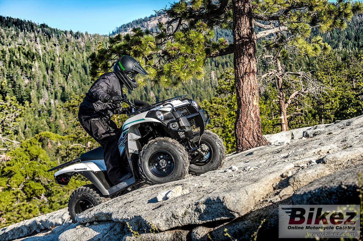 Thumbnail for Kawasaki Brute Force 300 2022