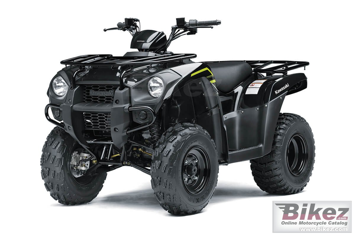 Kawasaki Brute Force 300