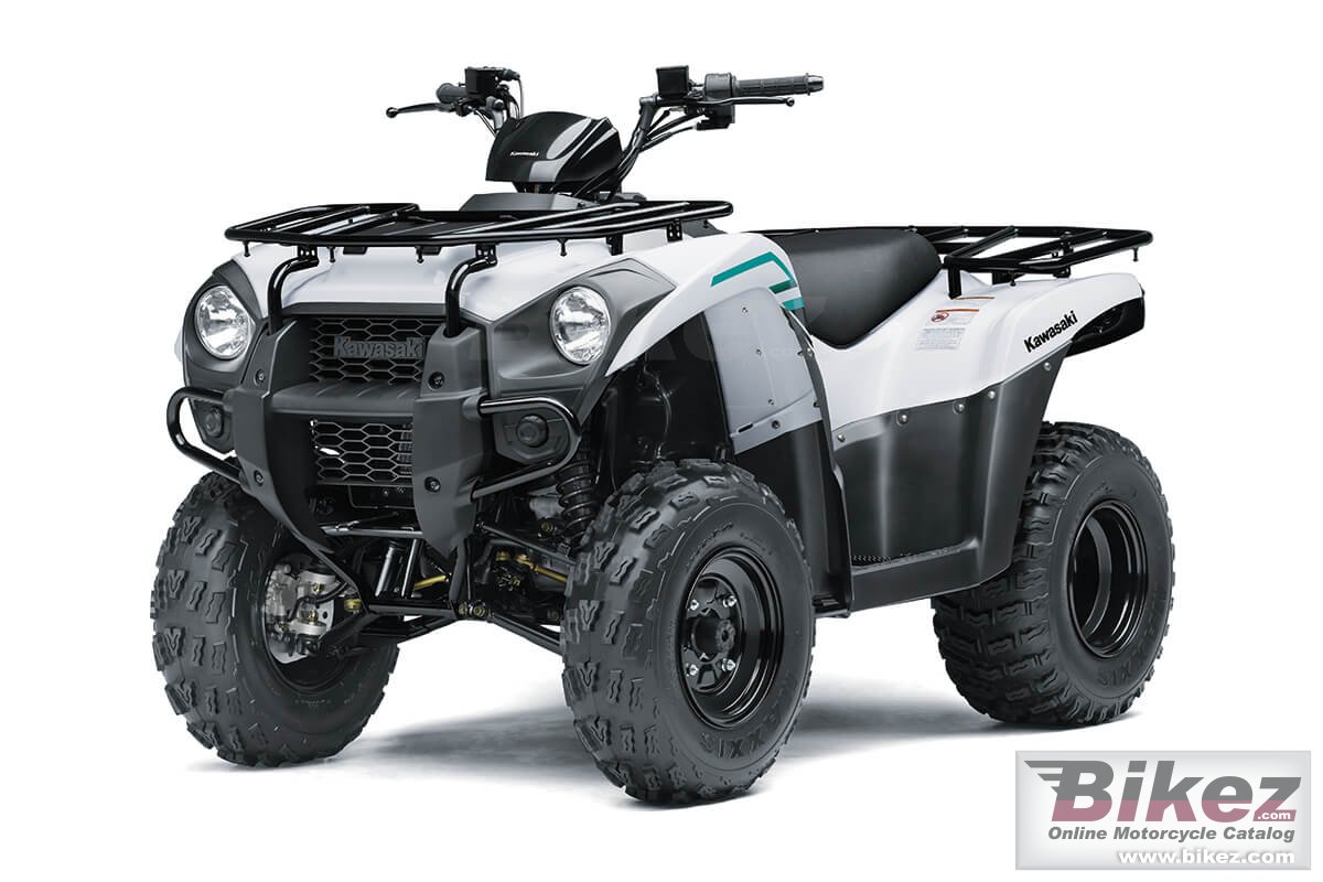 Thumbnail for Kawasaki Brute Force 300 2022