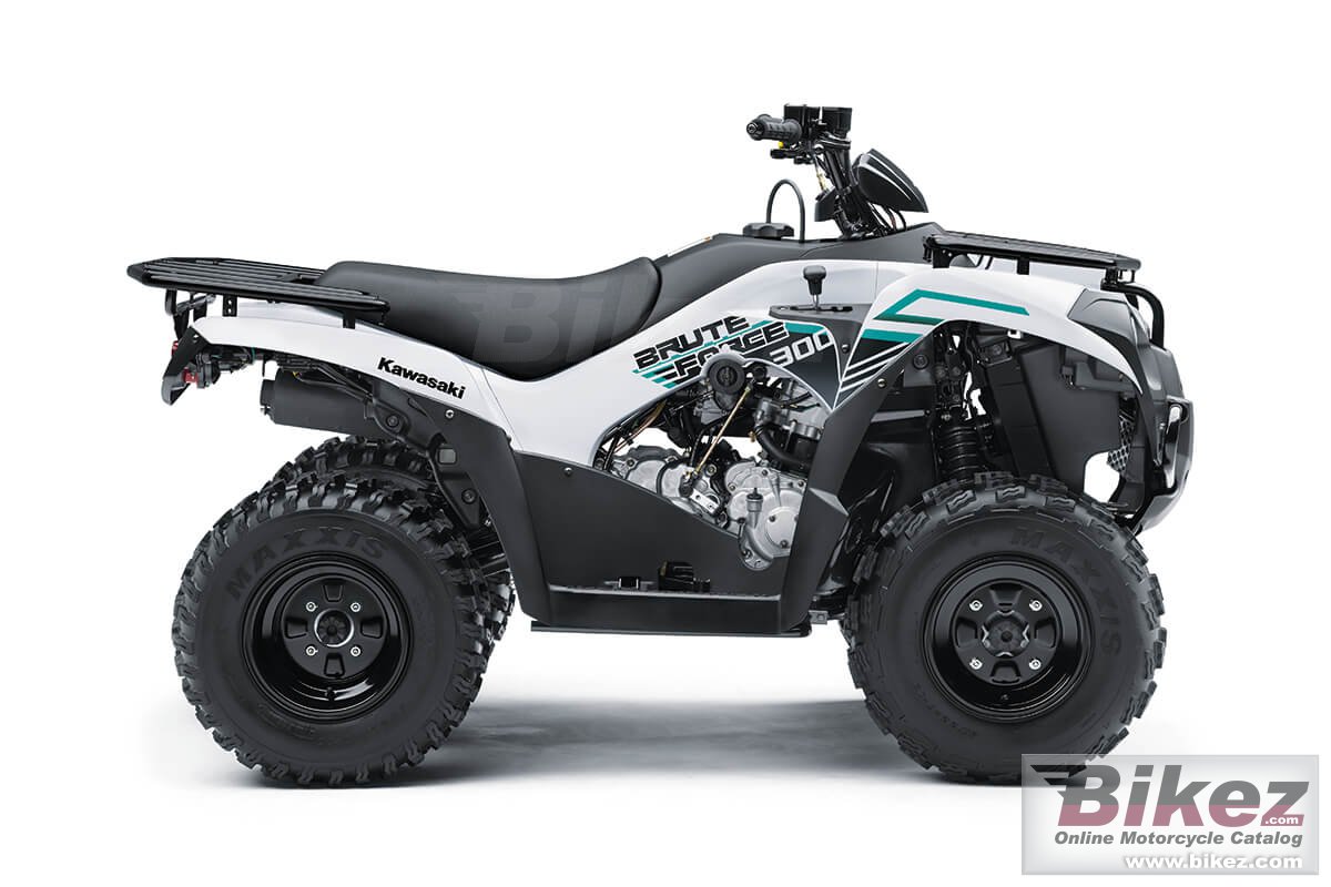 Thumbnail for Kawasaki Brute Force 300 2022