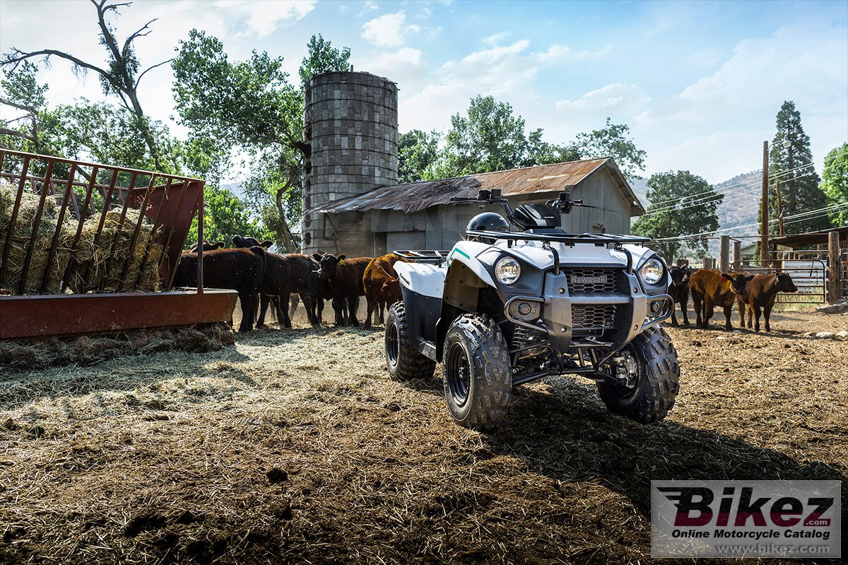 Thumbnail for Kawasaki Brute Force 300 2022