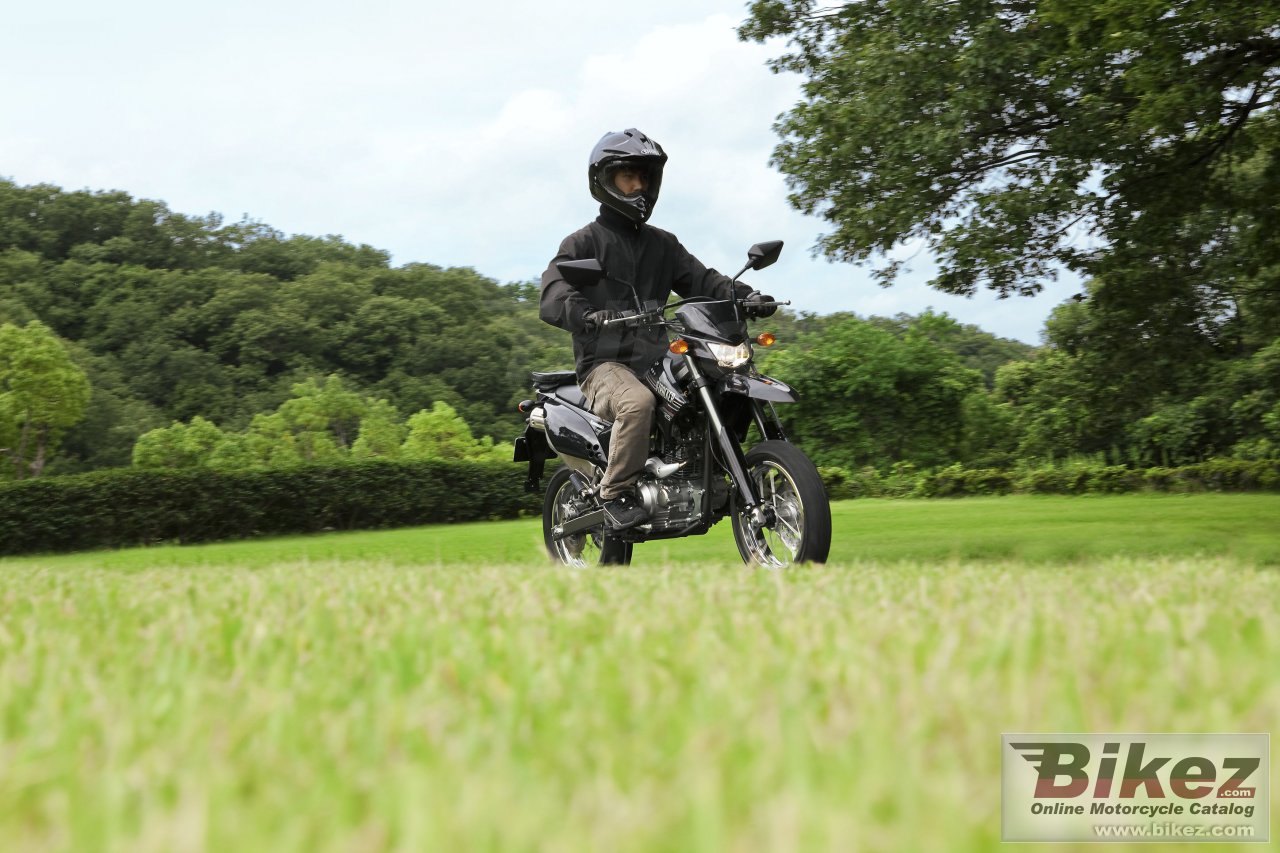 Thumbnail for Kawasaki D-Tracker 125 2010