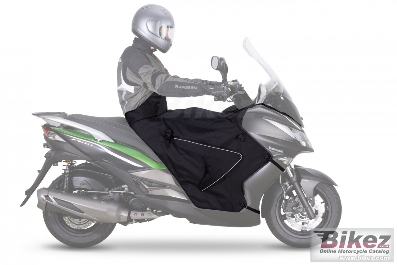 Thumbnail for Kawasaki J300 2014