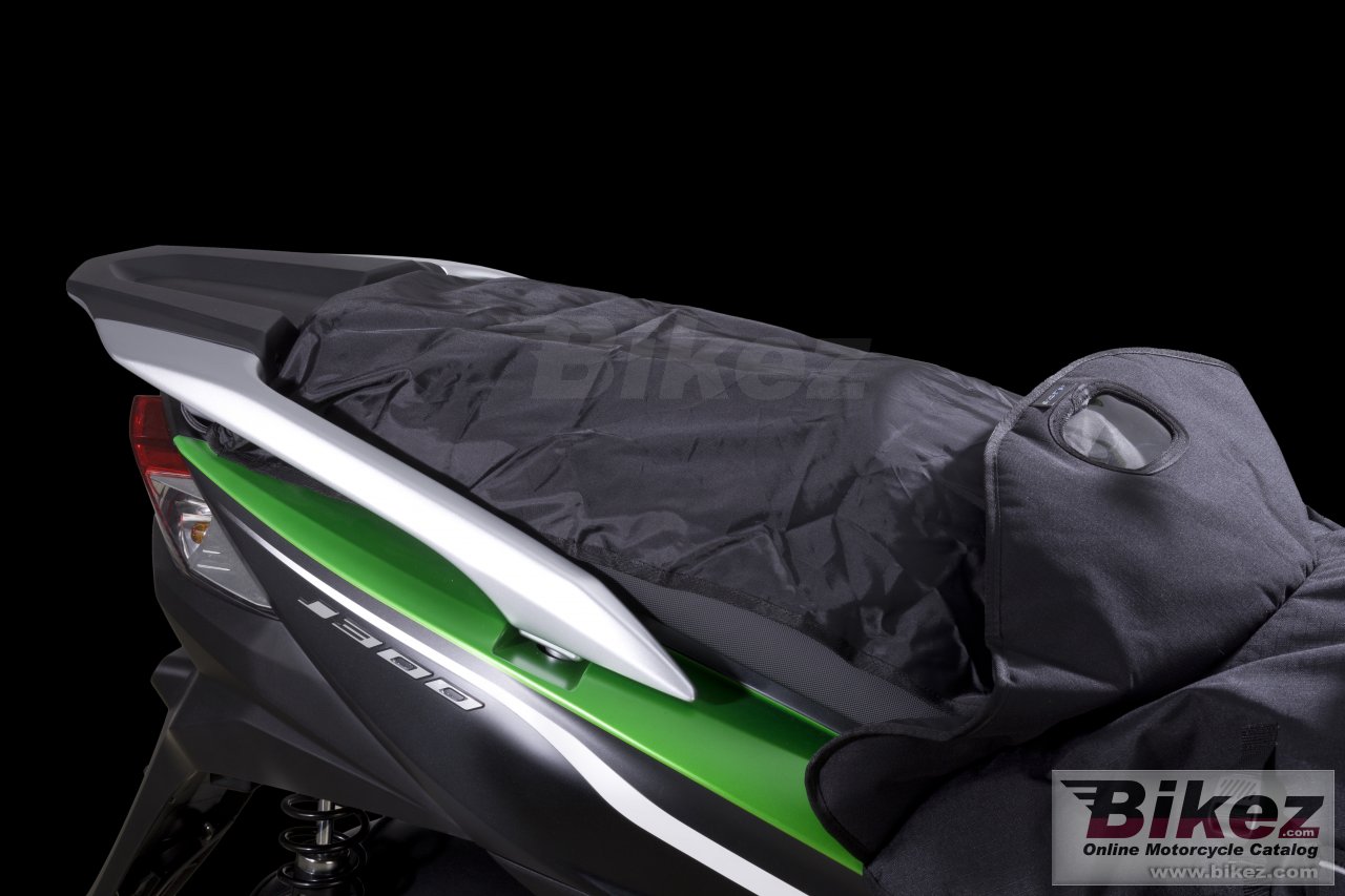 Thumbnail for Kawasaki J300 2014